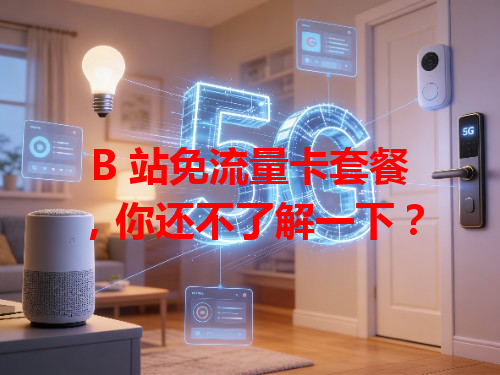 B 站免流量卡套餐，你还不了解一下？
