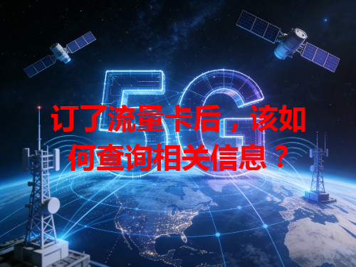 订了流量卡后，该如何查询相关信息？
