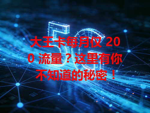 大王卡每月仅 200 流量？这里有你不知道的秘密！