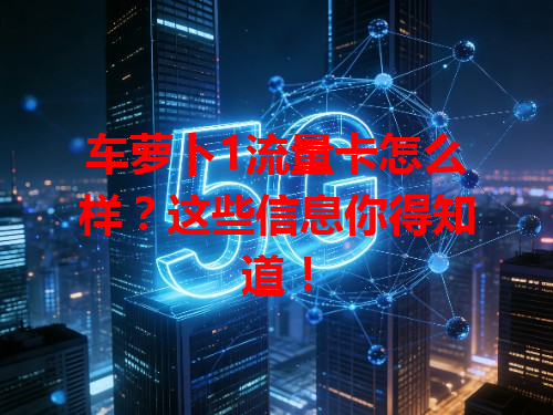 车萝卜1流量卡怎么样？这些信息你得知道！