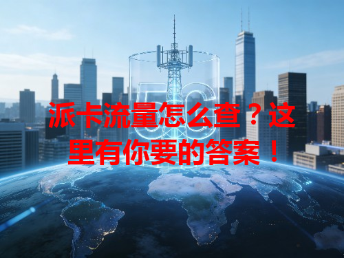 派卡流量怎么查？这里有你要的答案！