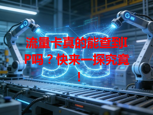 流量卡真的能查到IP吗？快来一探究竟！