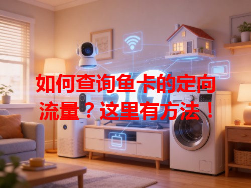 如何查询鱼卡的定向流量？这里有方法！