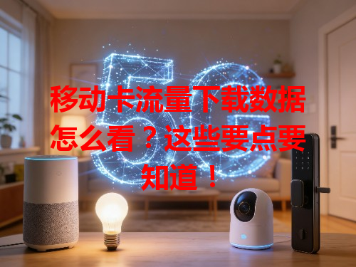 移动卡流量下载数据怎么看？这些要点要知道！