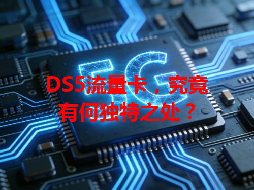 DS5流量卡，究竟有何独特之处？