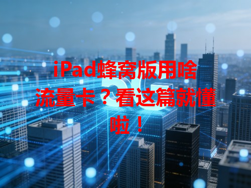 iPad蜂窝版用啥流量卡？看这篇就懂啦！