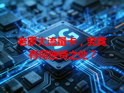 老罗大流量卡，究竟有何独特之处？