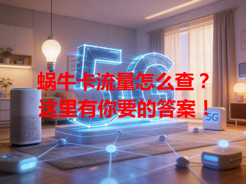 蜗牛卡流量怎么查？这里有你要的答案！