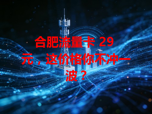 合肥流量卡 29 元，这价格你不冲一波？