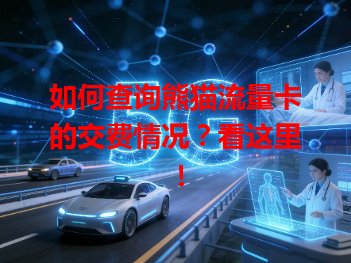如何查询熊猫流量卡的交费情况？看这里！