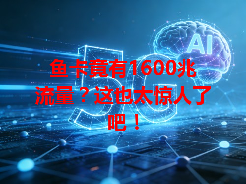 鱼卡竟有1600兆流量？这也太惊人了吧！