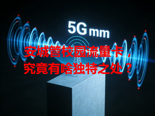 安城管校园流量卡，究竟有啥独特之处？