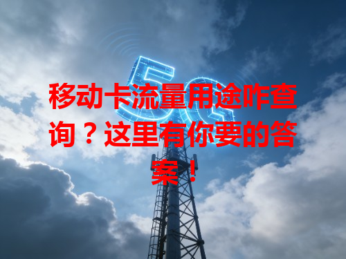 移动卡流量用途咋查询？这里有你要的答案！