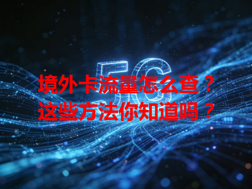 境外卡流量怎么查？这些方法你知道吗？