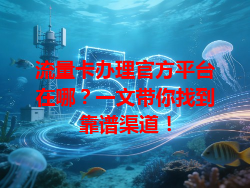 流量卡办理官方平台在哪？一文带你找到靠谱渠道！