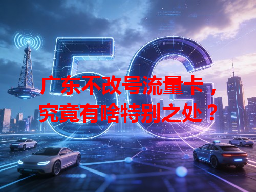 广东不改号流量卡，究竟有啥特别之处？