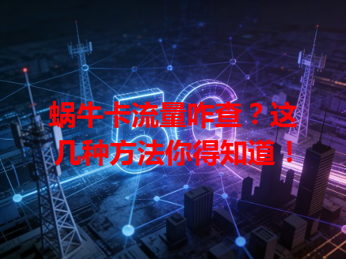 蜗牛卡流量咋查？这几种方法你得知道！