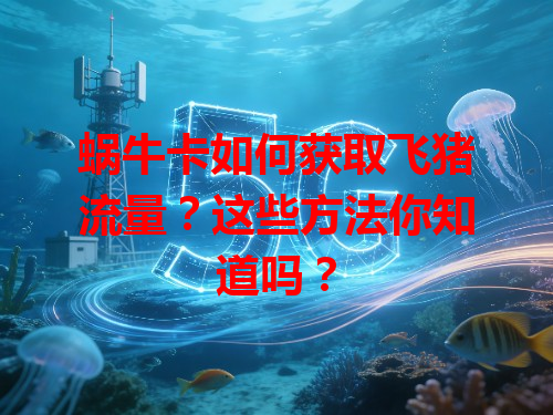 蜗牛卡如何获取飞猪流量？这些方法你知道吗？