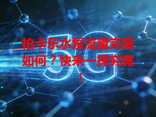 柏卡乐水泵流量究竟如何？快来一探究竟！