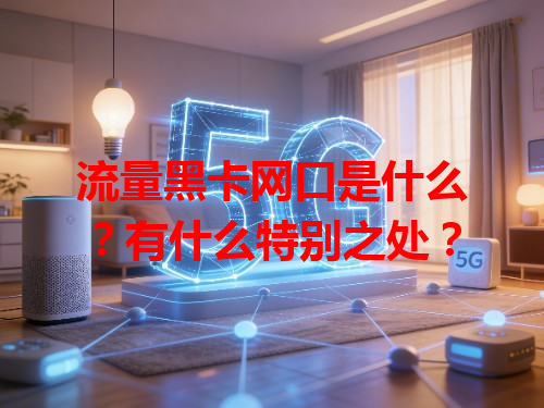 流量黑卡网口是什么？有什么特别之处？