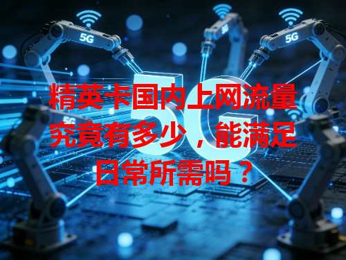 精英卡国内上网流量究竟有多少，能满足日常所需吗？