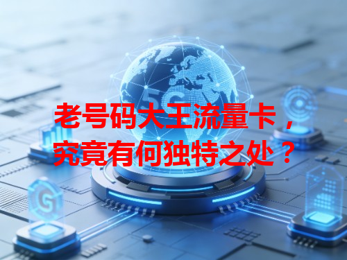 老号码大王流量卡，究竟有何独特之处？