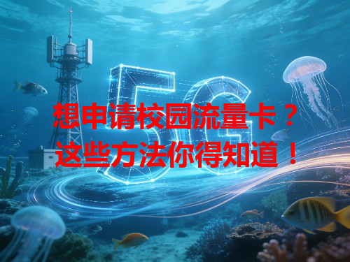 想申请校园流量卡？这些方法你得知道！