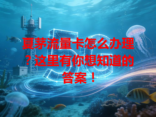 夏茅流量卡怎么办理？这里有你想知道的答案！