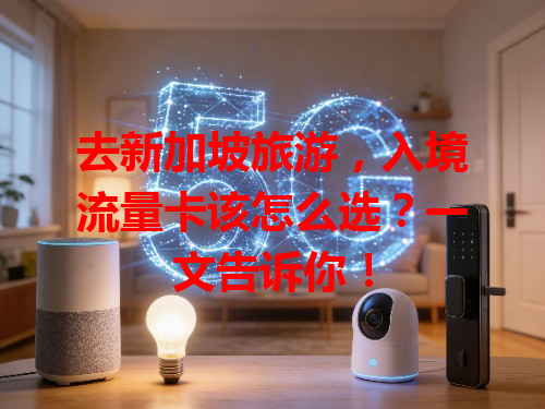 去新加坡旅游，入境流量卡该怎么选？一文告诉你！