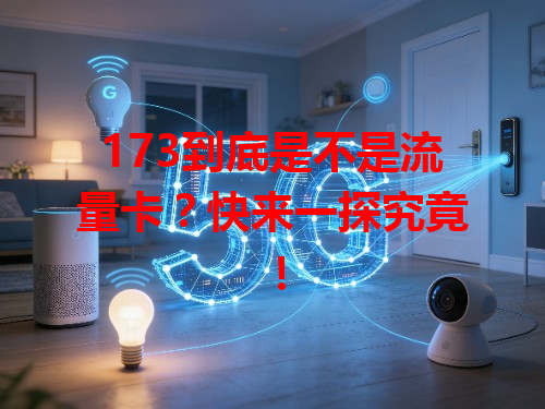 173到底是不是流量卡？快来一探究竟！