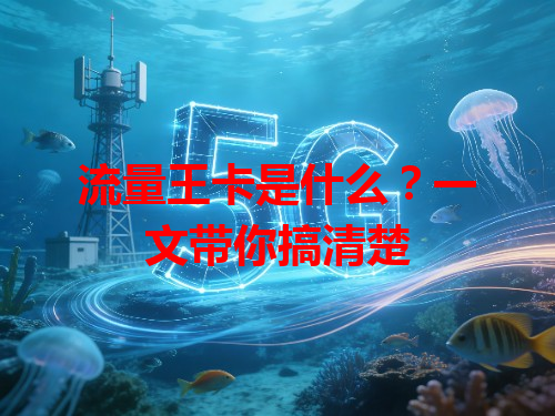 流量王卡是什么？一文带你搞清楚