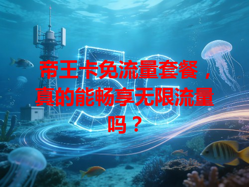 帝王卡免流量套餐，真的能畅享无限流量吗？