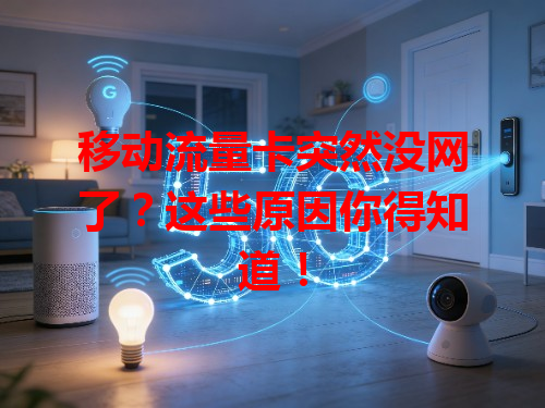 移动流量卡突然没网了？这些原因你得知道！