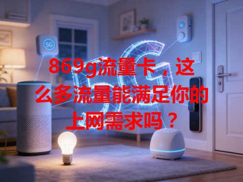 869g流量卡，这么多流量能满足你的上网需求吗？