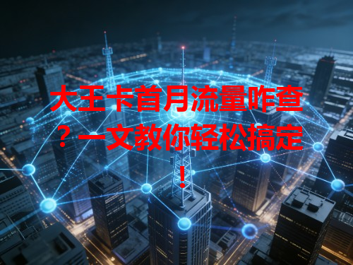 大王卡首月流量咋查？一文教你轻松搞定！
