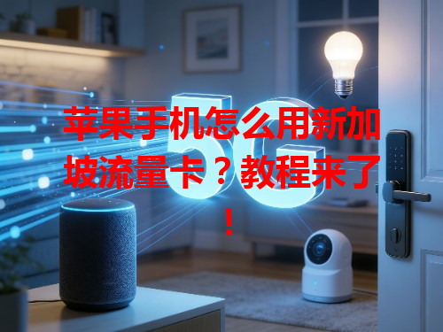 苹果手机怎么用新加坡流量卡？教程来了！