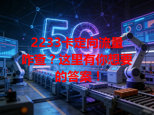 2233卡定向流量咋查？这里有你想要的答案！