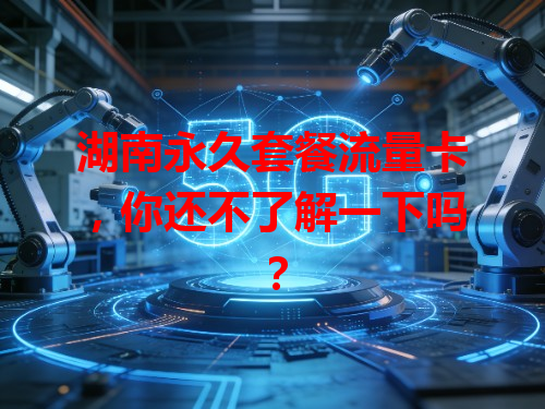 湖南永久套餐流量卡，你还不了解一下吗？
