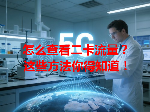 怎么查看二卡流量？这些方法你得知道！