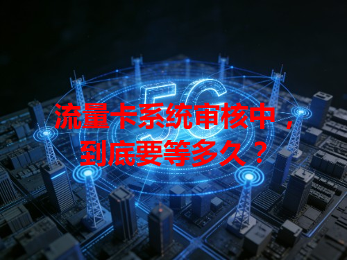 流量卡系统审核中，到底要等多久？