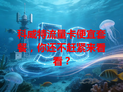 科威特流量卡便宜套餐，你还不赶紧来看看？