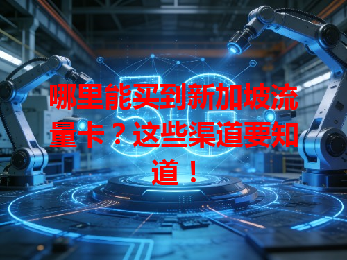 哪里能买到新加坡流量卡？这些渠道要知道！