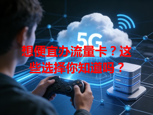 想便宜办流量卡？这些选择你知道吗？