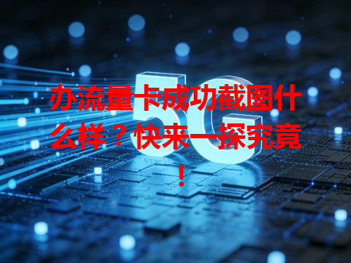 办流量卡成功截图什么样？快来一探究竟！