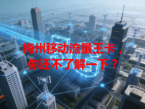 梅州移动流量王卡，你还不了解一下？
