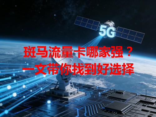 斑马流量卡哪家强？一文带你找到好选择