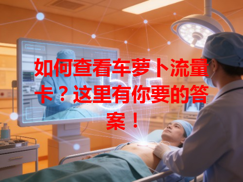 如何查看车萝卜流量卡？这里有你要的答案！