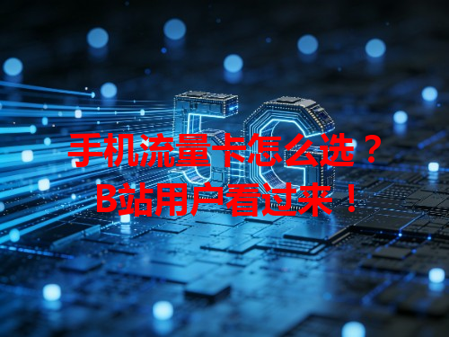 手机流量卡怎么选？B站用户看过来！