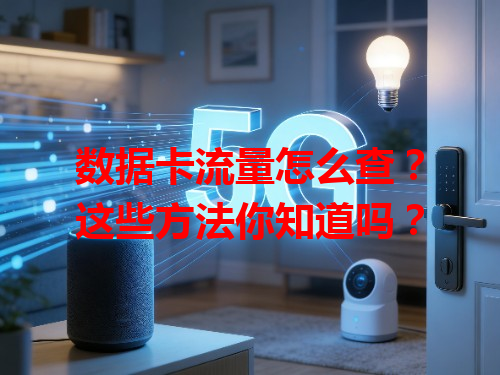 数据卡流量怎么查？这些方法你知道吗？