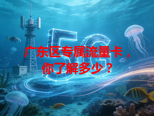 广东区专属流量卡，你了解多少？